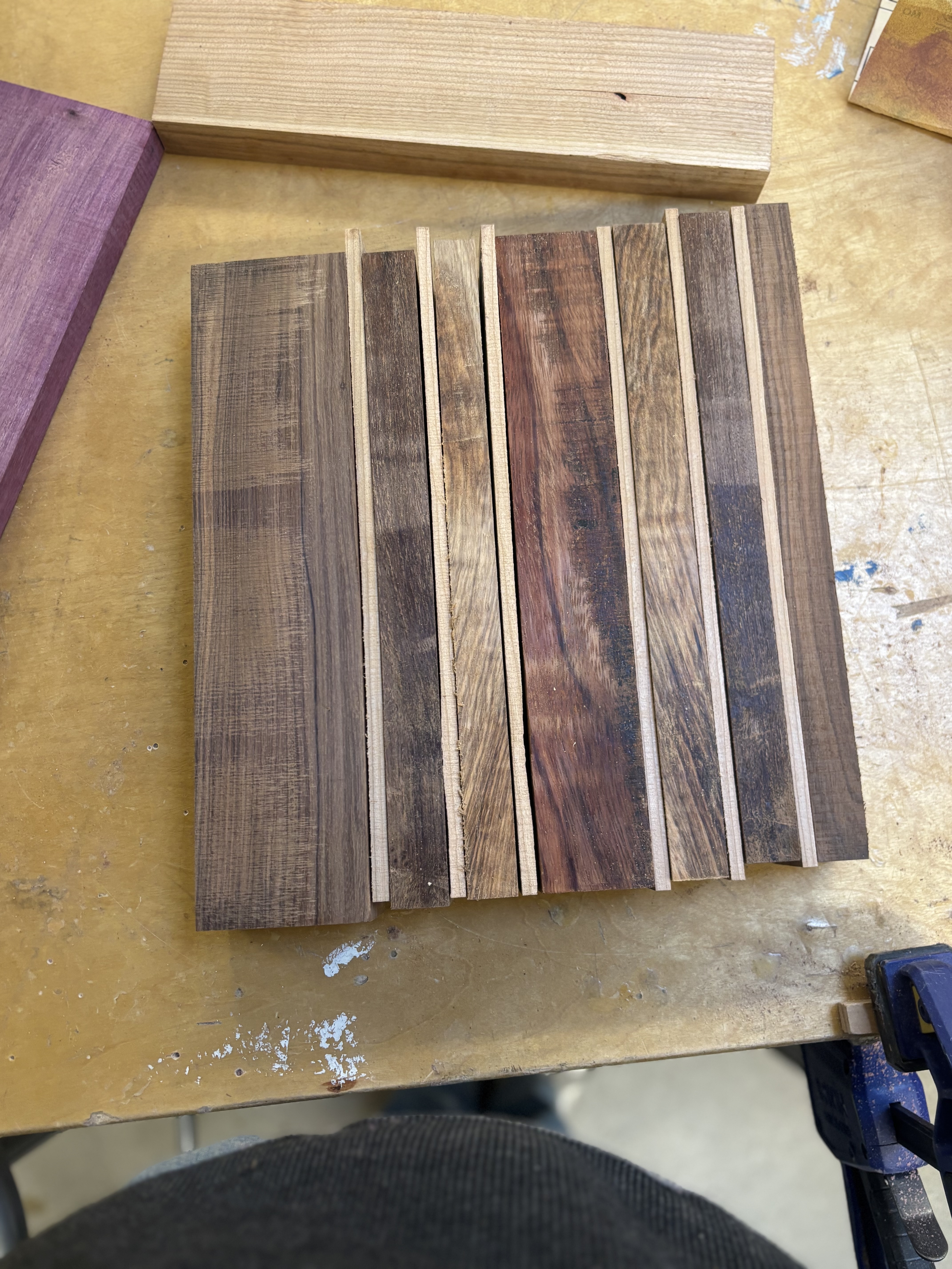 Laying out the intial design
